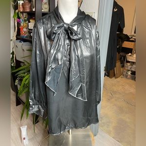Super shiny silver blouse